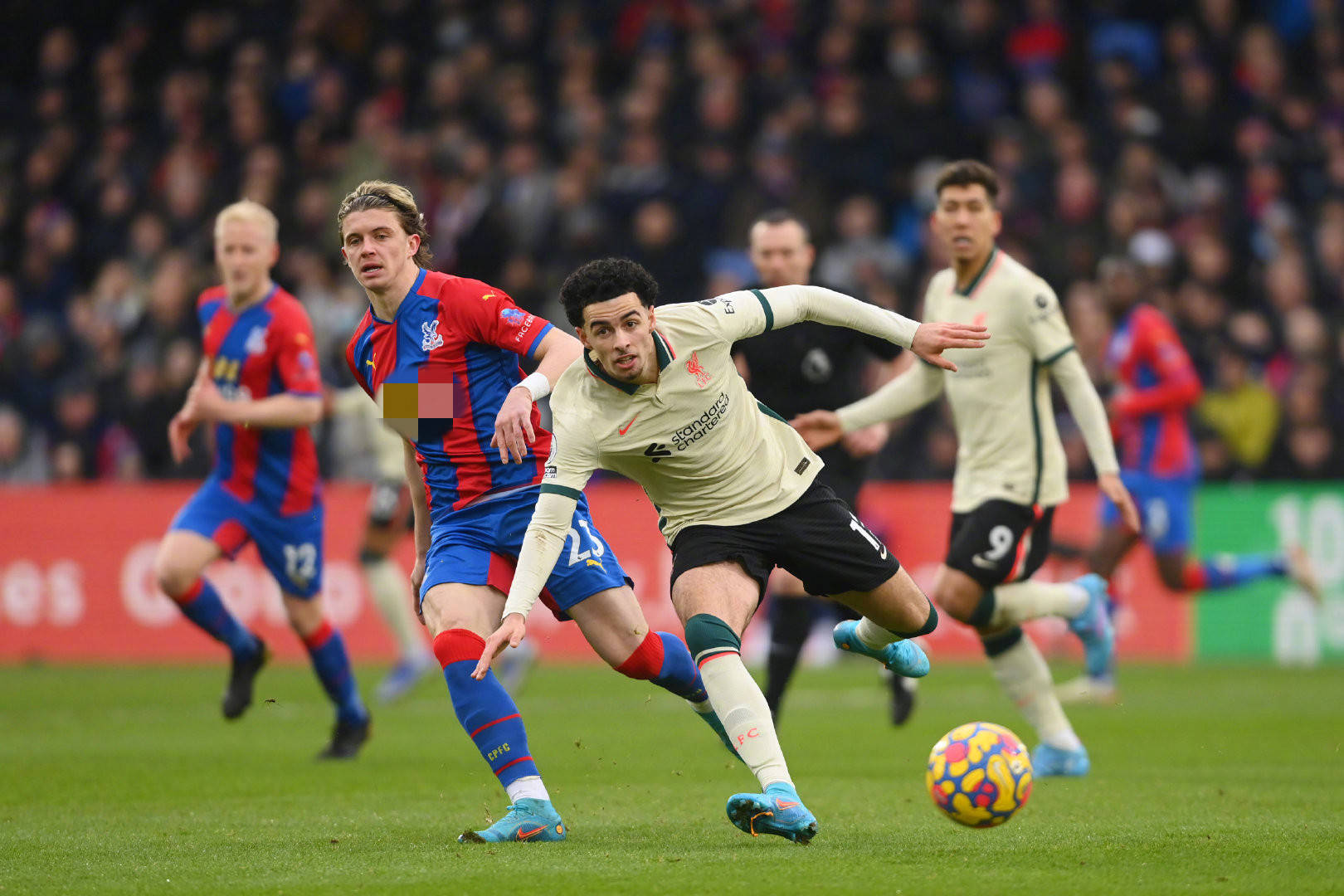 和节奏的掌 和节奏的掌