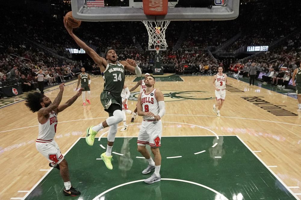 萨利巴的野 萨利巴的野